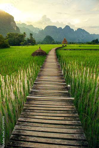 Fototapeta Naklejka Na Ścianę i Meble -  Mountain sunset and green rice fields in Vang Vieng, Laos