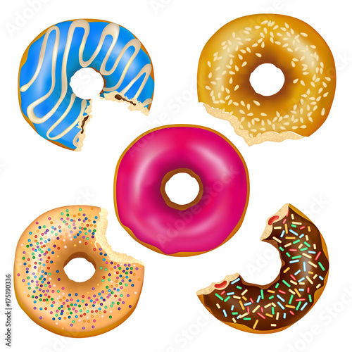 Realistic Eaten Donuts Set