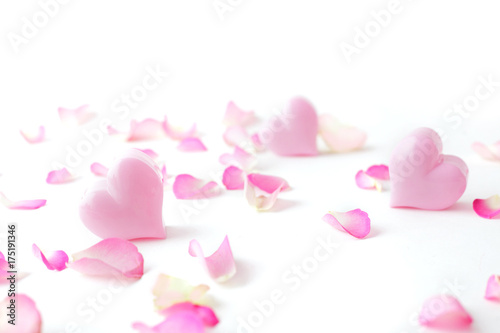 pink heart and rose petals