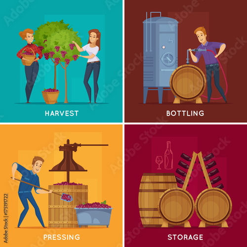Winery Wine Production Cartoon Concept