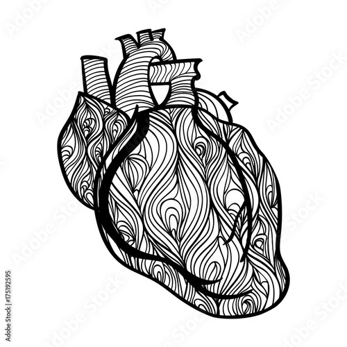 Black and white vector of human heart. Hand drawn doodle decorated with waves