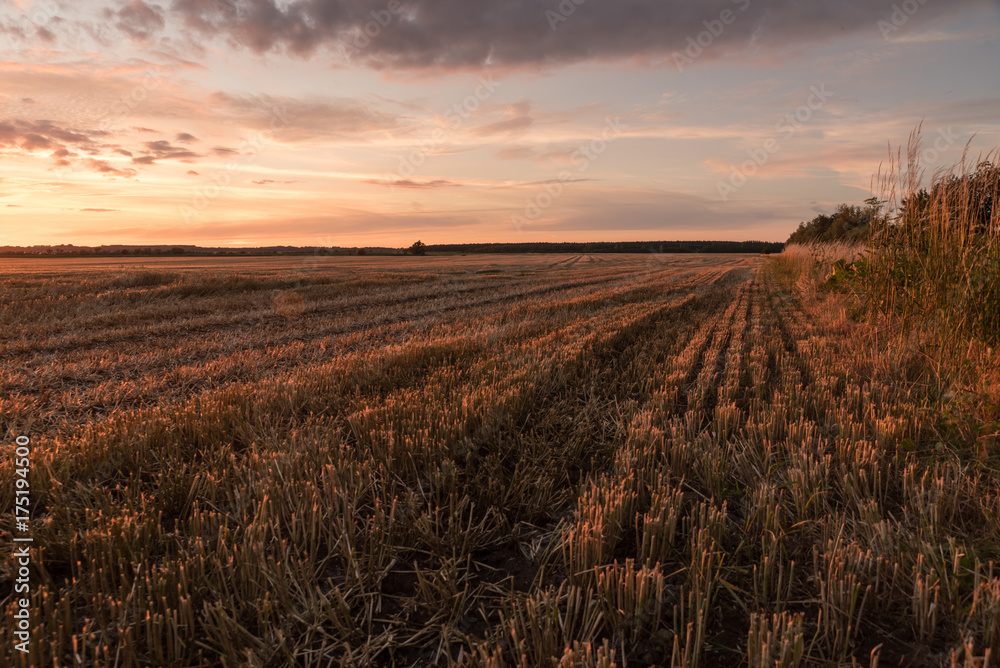 Fototapeta premium Sonnenuntergang an einem Feld