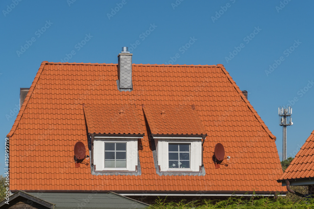 Schornstein und Zweig Gauben auf einem Dach