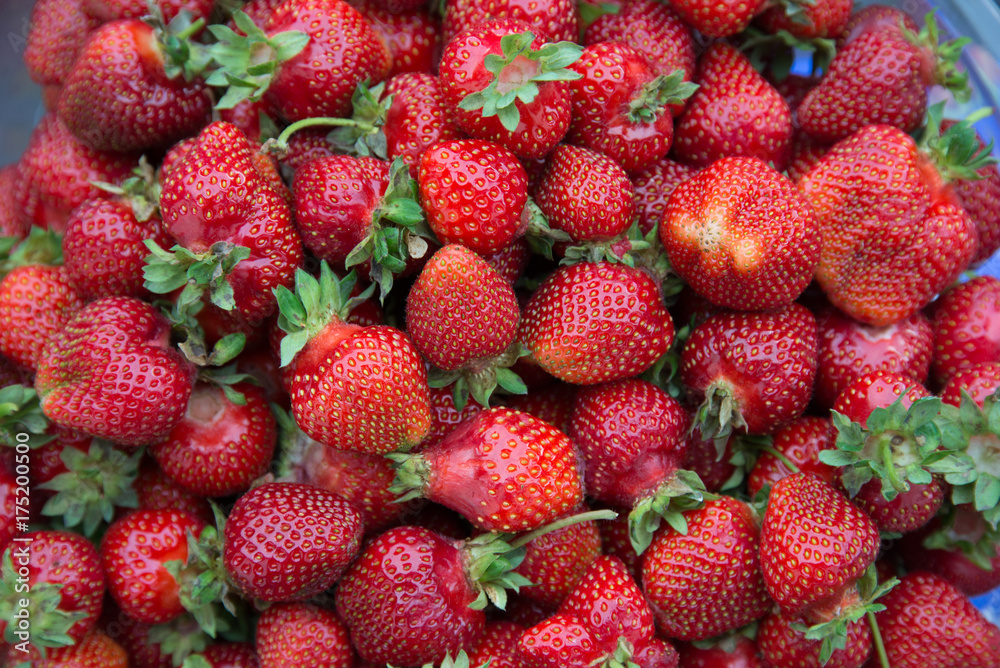 Erdbeeren Erdbeeren