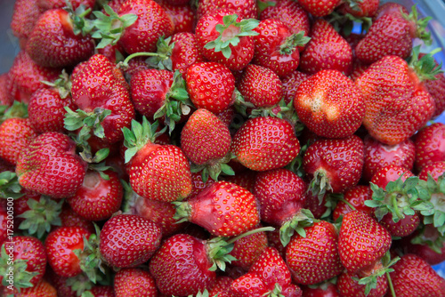 Erdbeeren