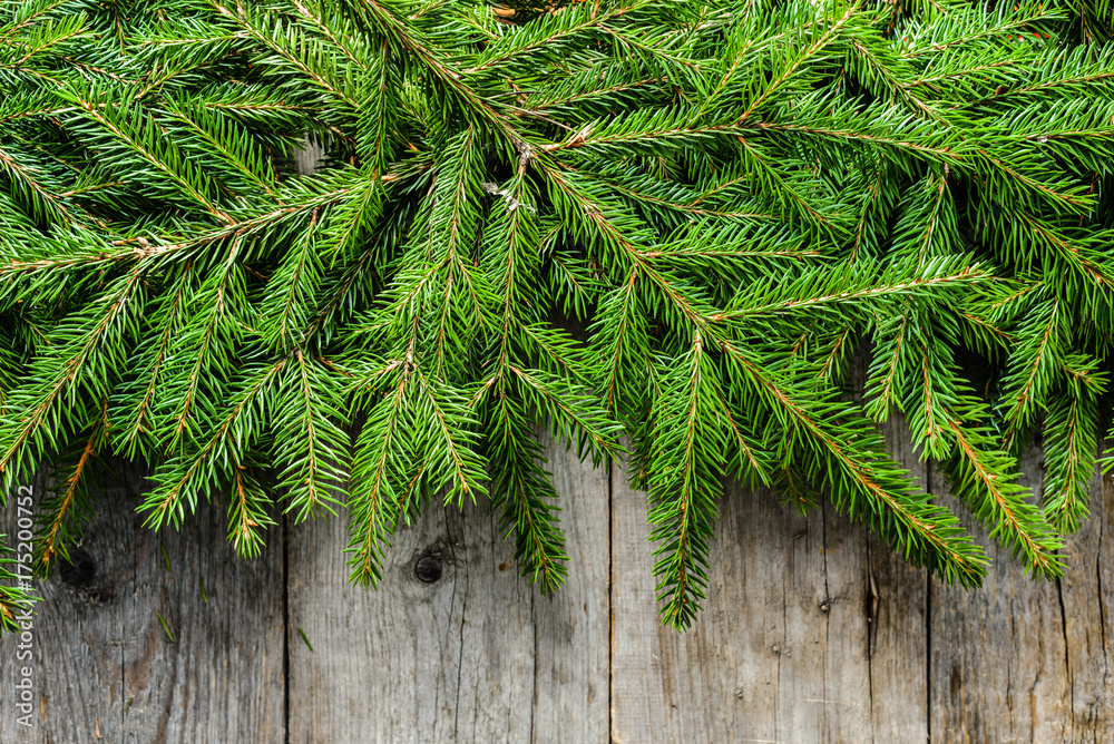 Green fir branches, christmas rustic background with copy space Green fir branches, christmas rustic background with copy space