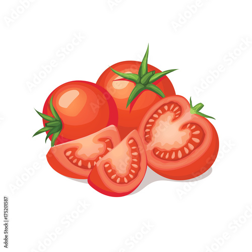 Fresh and ripe tomatos isolated on white background. Raw tomato slices close-up. Vector illustration.