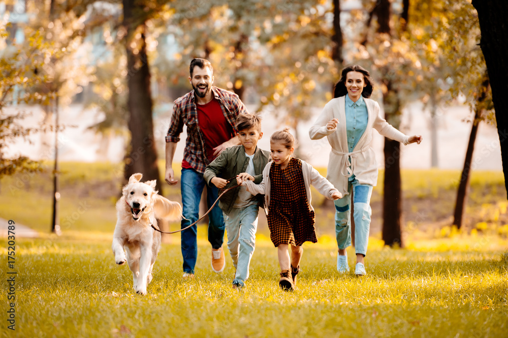 Фотография семьи с собакой family running with dog in park Фотографія Stock Adobe Stock