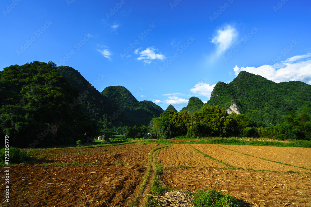 Soil on rice field after harvesting season with mountain and blue sky in Vietnam Soil on rice field after harvesting season with mountain and blue sky in Vietnam
