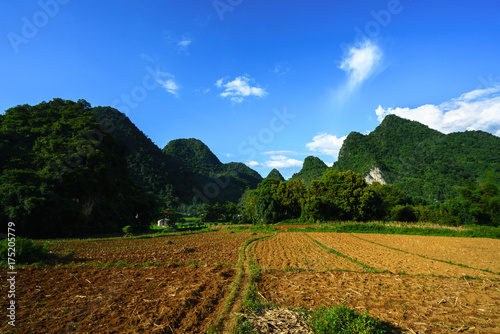 Soil on rice field after harvesting season with mountain and blue sky in Vietnam