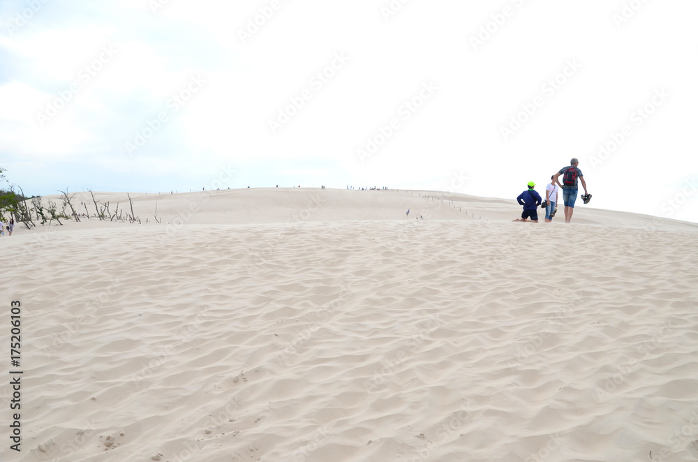 Sand dunes in the Slowinski National Park in Poland - obrazy, fototapety, plakaty 