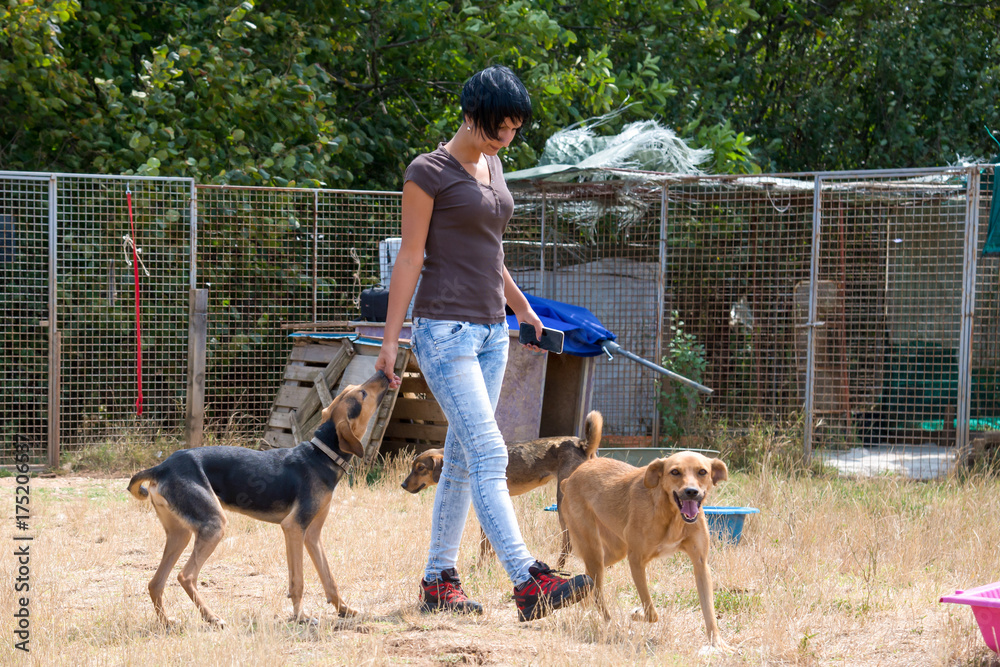 Animal instructor with her dogs during a obedience training