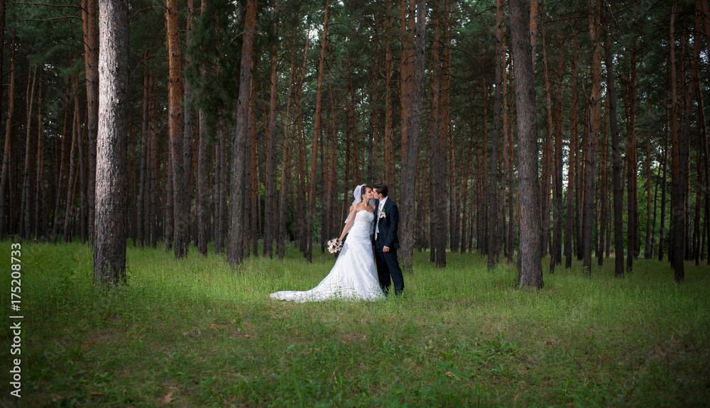 The bride and groom on a walk in the forest The bride and groom on a walk in the forest