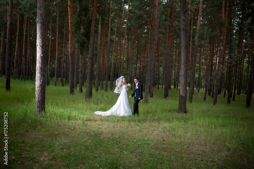 The bride and groom on a walk in the forest © nidvoray
