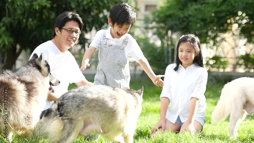 Happy Asian family playing with siberian husky dog in the garden slow motion 
