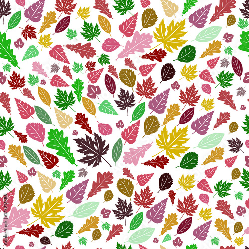 Vector seamless pattern of colored autumn leaves 