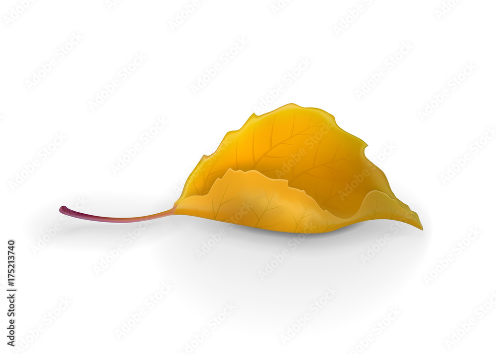 Naklejka premium Beautiful autumn yellow cartoon leaf