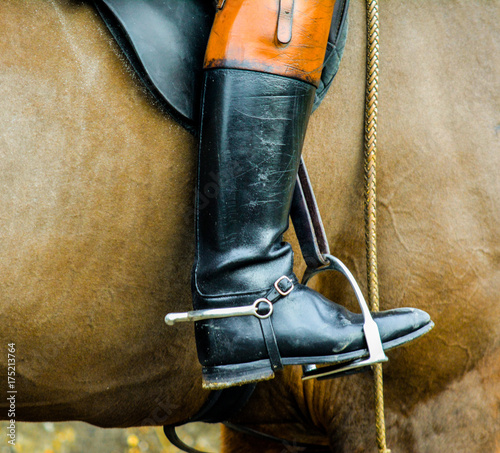 Horserider Closeup