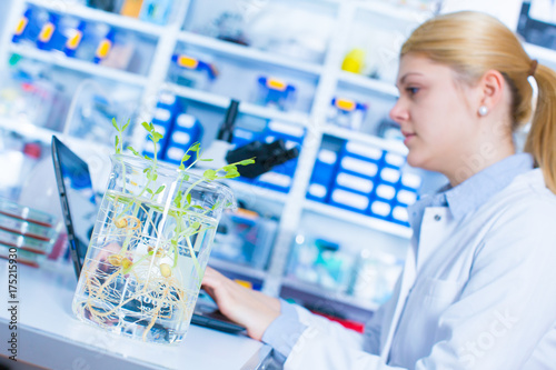 Experiment with genetically modified plants. Young woman laboratory assistant at the Laboratory of Plant Genetics GMO