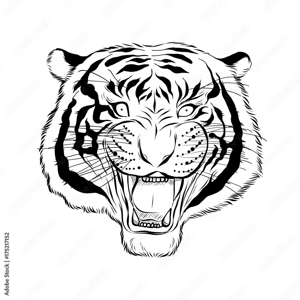 tiger face black and white clipart book