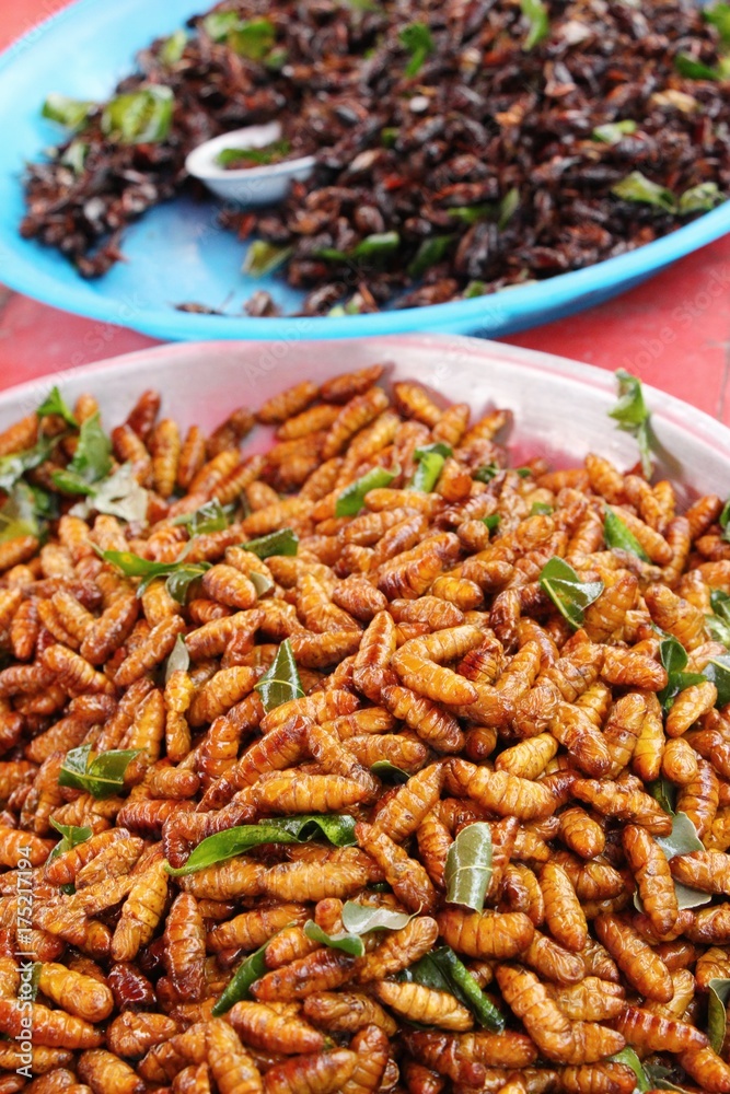 Fried silk worms delicious in street food Fried silk worms delicious in street food