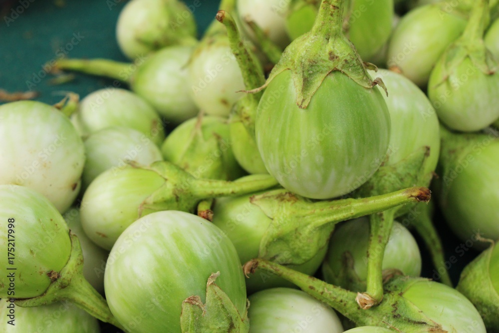 Fresh eggplant green organic in the market Fresh eggplant green organic in the market
