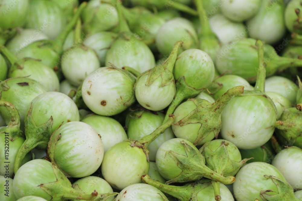 Fresh eggplant green organic in the market Fresh eggplant green organic in the market