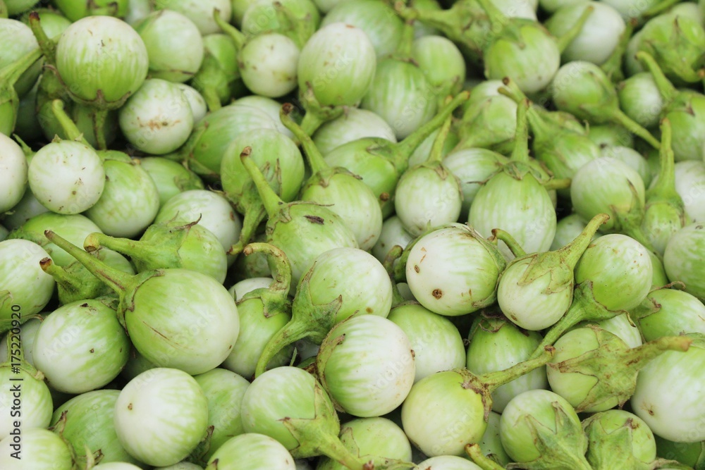 Fresh eggplant green organic in the market Fresh eggplant green organic in the market