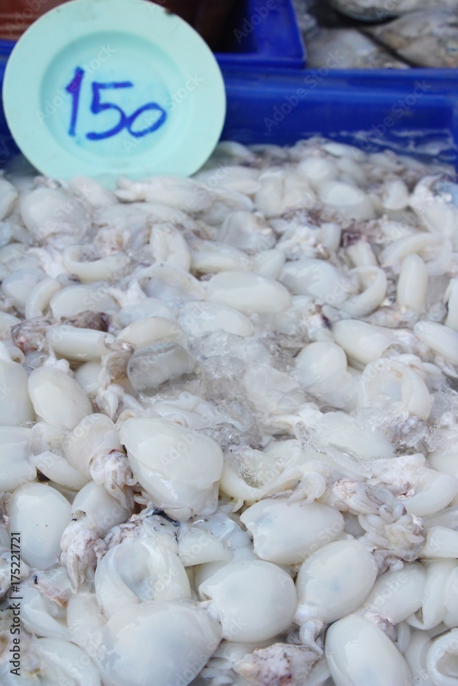 Fresh squid for cooking in the market Fresh squid for cooking in the market