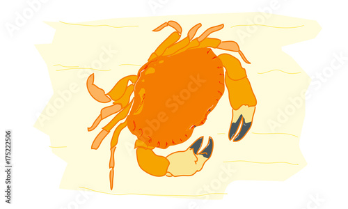 crabe