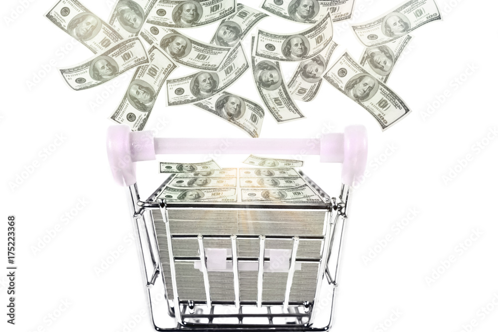 Shopping cart / View of toy shopping cart with dollars on white background. Shopping cart / View of toy shopping cart with dollars on white background.