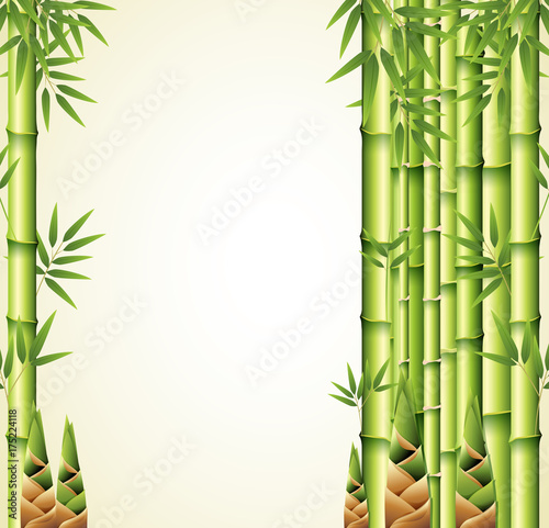 Fototapeta Naklejka Na Ścianę i Meble -  Background design with bamboo stems