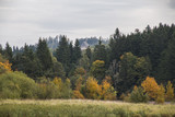 Herbstlicher Wald mit Kirche am Berg