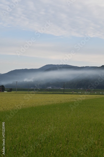 日本の田園風景 photo