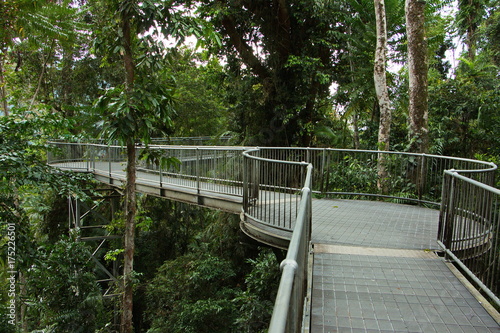 Mamu Rainforest Canopy Walkway in Australien