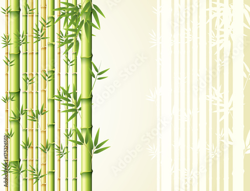Fototapeta Naklejka Na Ścianę i Meble -  Bamboo background design with golden and green colors