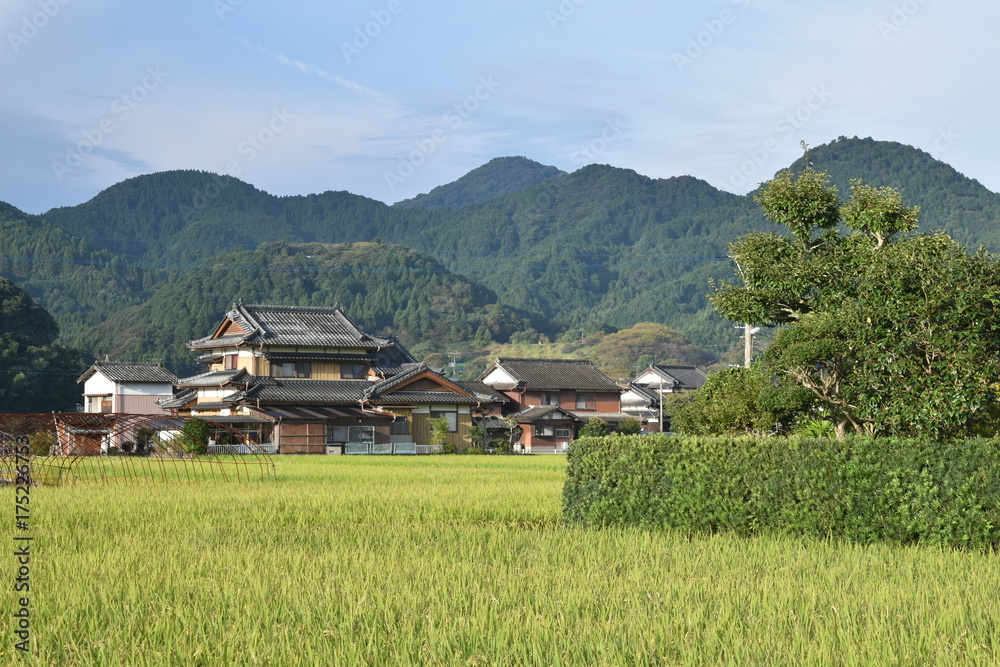 日本の田園風景 Stock Photo | Adobe Stock