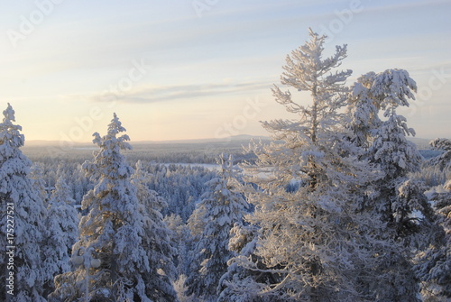 Wintery landscape in Kuusamo, Finland
