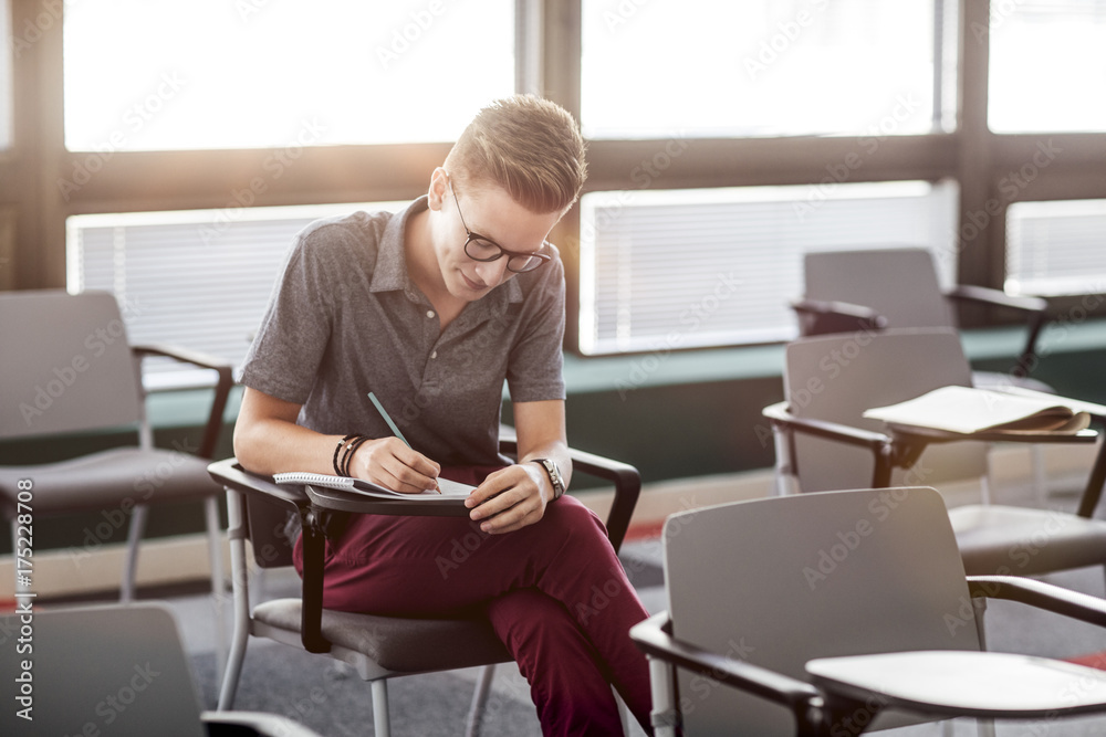 Fototapeta premium Smiling Male Student Taking Notes
