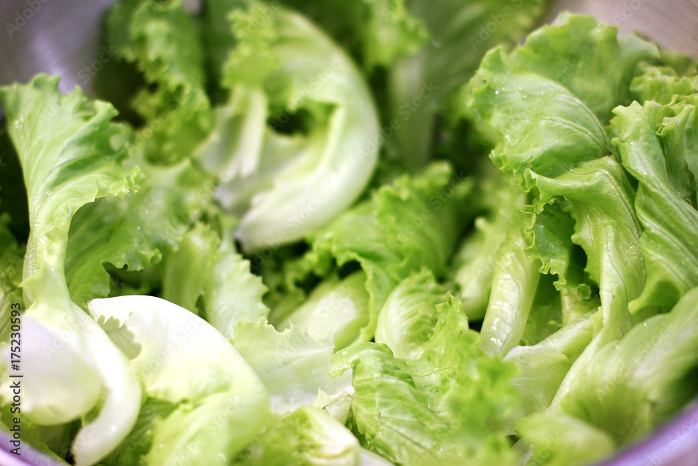 Large lettuce leaves in a silver bowl Large lettuce leaves in a silver bowl