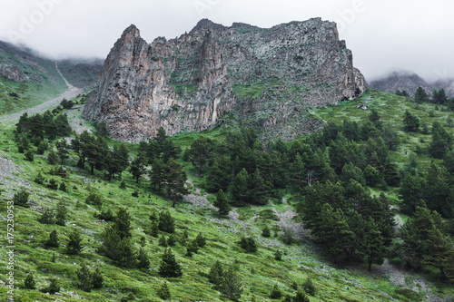 Mountain landscape in Caucasus, Baksan region. Coniferous forest and stone peak, cloudy weather in spring. Beautiful view photo