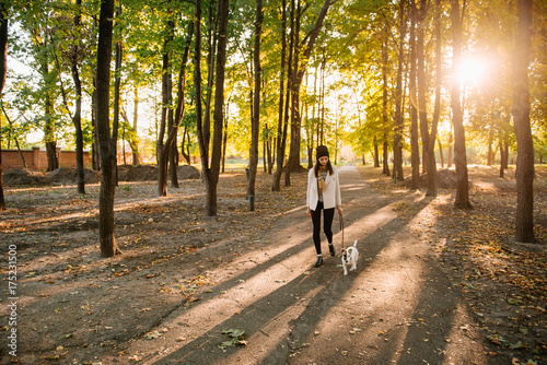 Wallpaper Mural Woman goes with a dog walking in the autumn - jack russell terrier Torontodigital.ca