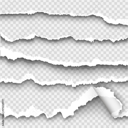 set of torn paper on transparent background