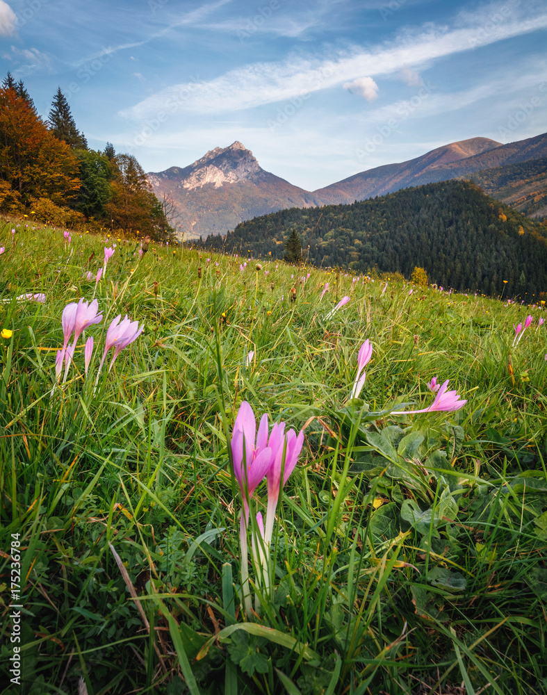 Big Rozsutec peak, Little Fatra, Slovakia
