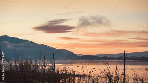 morning time with sunrise landscape view from kawaguchi lake with motion blur from group of duck foreground and fuji mountain background with fog from japan