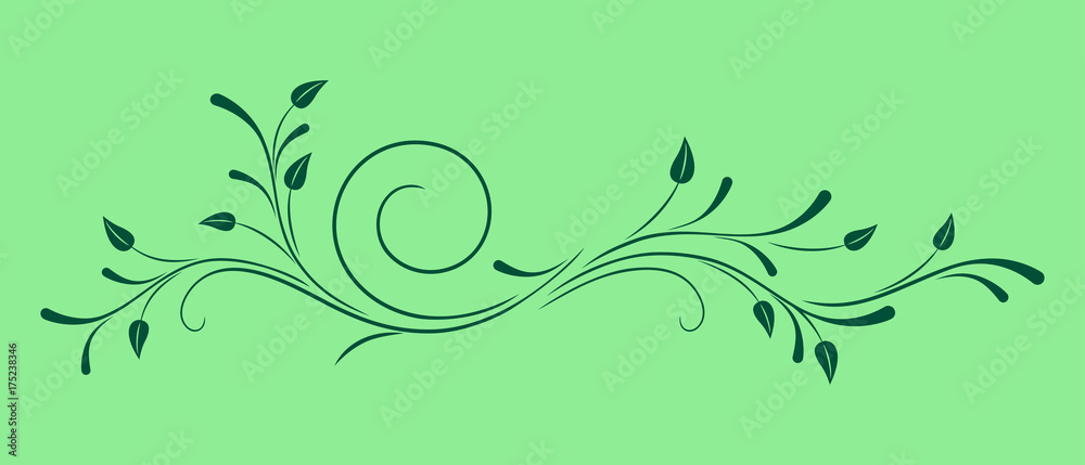 Floral vector ornament. Flower and leaves. Drawing on a green background. Floral vector ornament. Flower and leaves. Drawing on a green background.