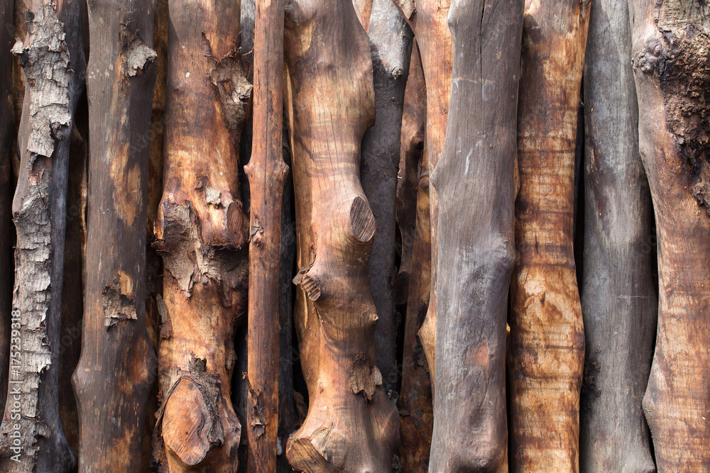 Firewood stacked and prepared for winter Pile of wood logs Firewood stacked and prepared for winter Pile of wood logs