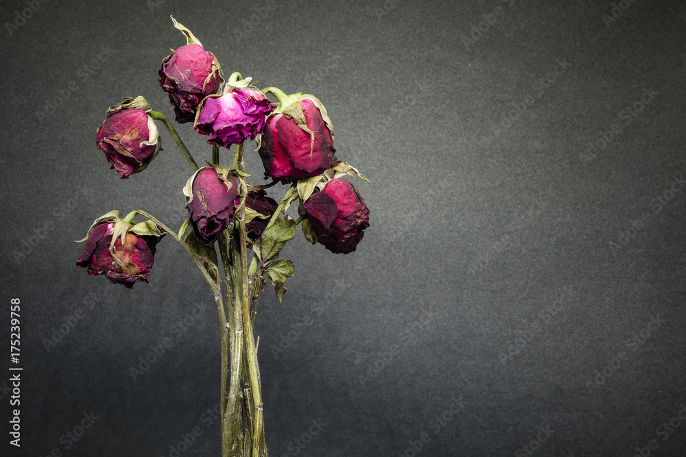 Fototapeta premium podniósł się, zakochał się