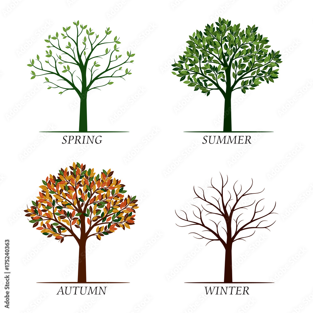 Spring, Summer, Autumn, Winter Trees. Vector Illustration. Stock