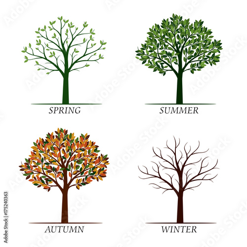 Spring, Summer, Autumn, Winter Trees. Vector Illustration.